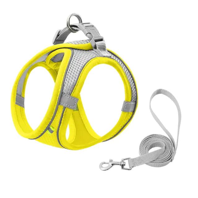 Escape Proof Small Pet Harness Leash Set - YIA Collective