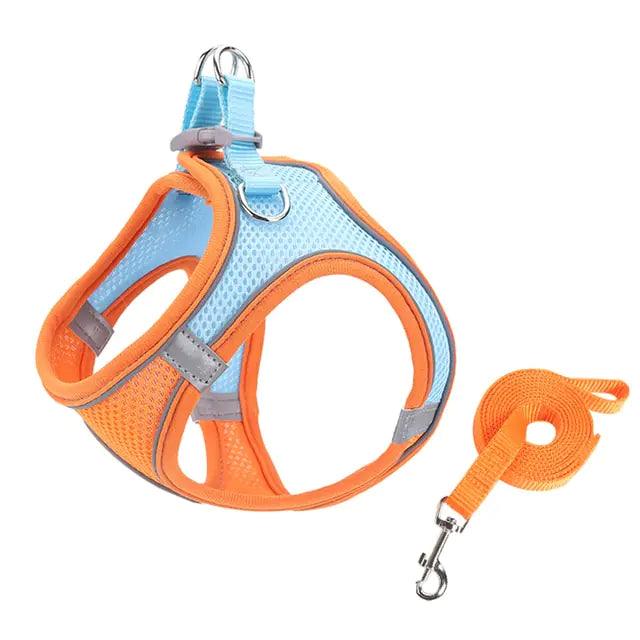 Escape Proof Small Pet Harness Leash Set - YIA Collective