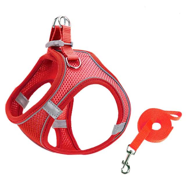 Escape Proof Small Pet Harness Leash Set - YIA Collective