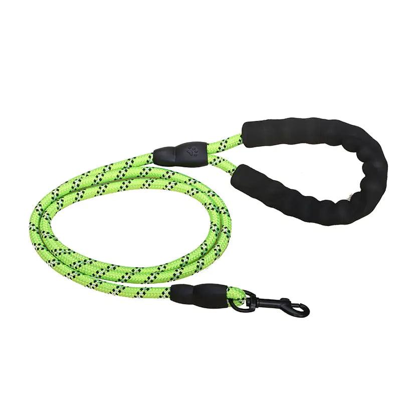 Premium Quality Nylon Leash - YIA Collective