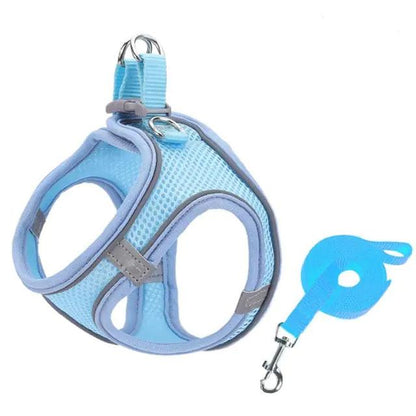 Escape Proof Small Pet Harness Leash Set - YIA Collective