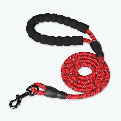 Premium Quality Nylon Leash - YIA Collective