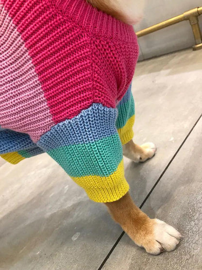 Puppy Knitted Rainbow Sweater - YIA Collective