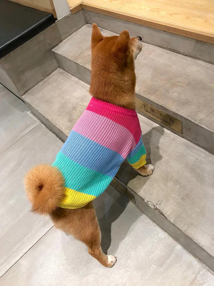 Puppy Knitted Rainbow Sweater - YIA Collective