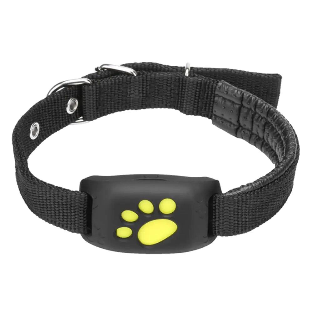 Pet GPS Tracker Collar - YIA Collective