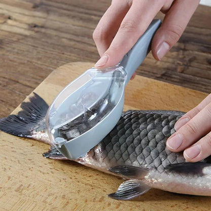 Fish Scale Plastic Scraper - YIA Collective