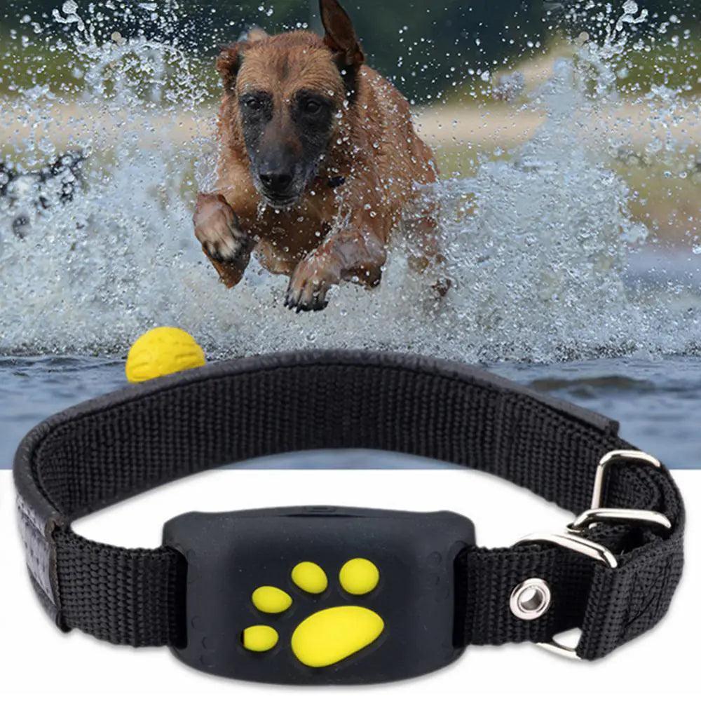 Pet GPS Tracker Collar - YIA Collective