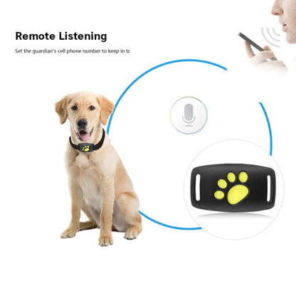 Pet GPS Tracker Collar - YIA Collective