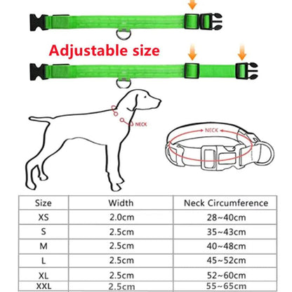 Glowing Dog Collar - YIA Collective