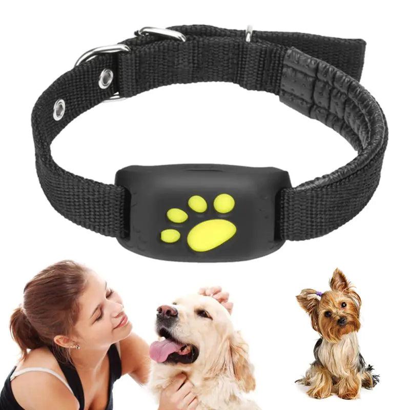 Pet GPS Tracker Collar - YIA Collective