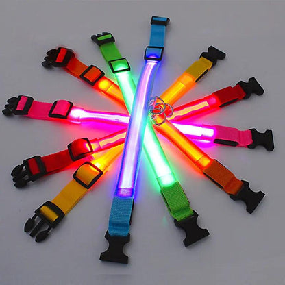 Glowing Dog Collar - YIA Collective