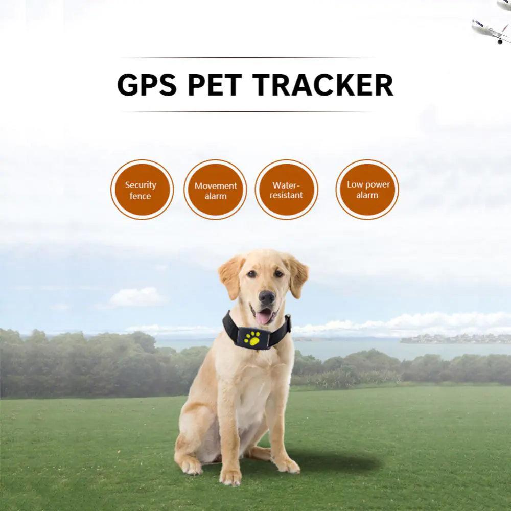 Pet GPS Tracker Collar - YIA Collective