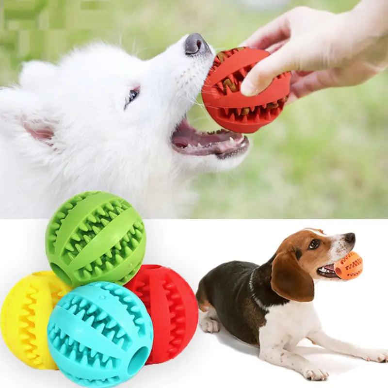 Interactive Rubber Pet Dog Toy - YIA Collective