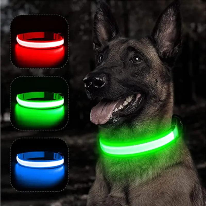 Glowing Dog Collar - YIA Collective