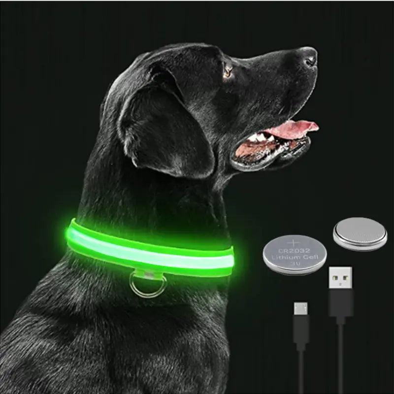 Glowing Dog Collar - YIA Collective