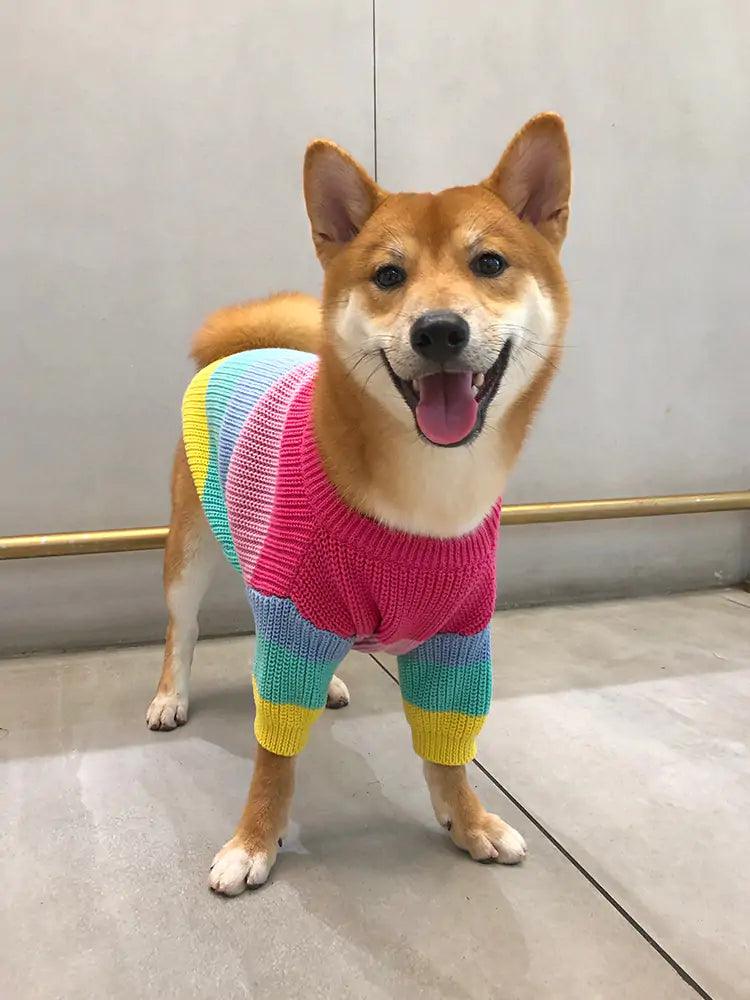 Puppy Knitted Rainbow Sweater - YIA Collective