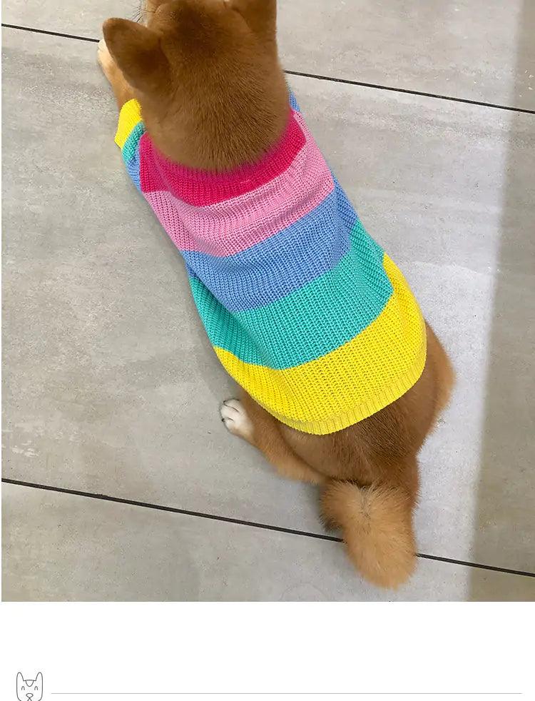 Puppy Knitted Rainbow Sweater - YIA Collective